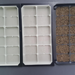 72 cell seed tray