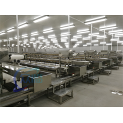 Shrimp Processing Line