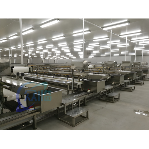 Shrimp Processing Line