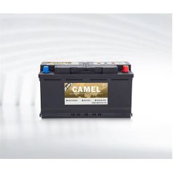 AUTOMOTIVE STARTER BATTERY