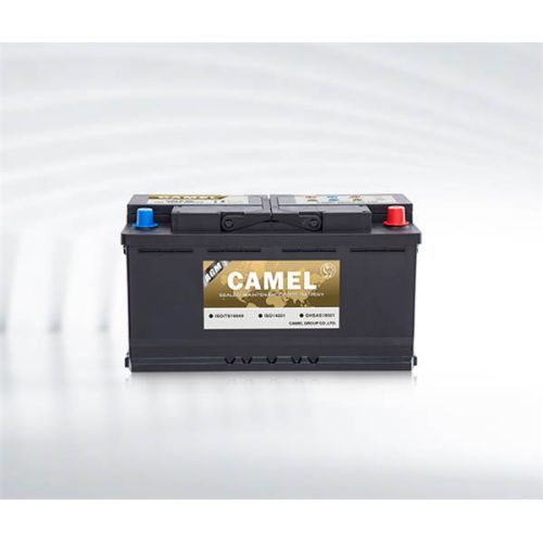 AUTOMOTIVE STARTER BATTERY
