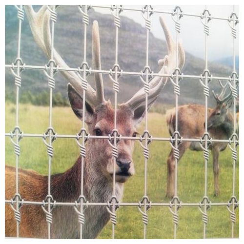 Deer Breeding Net